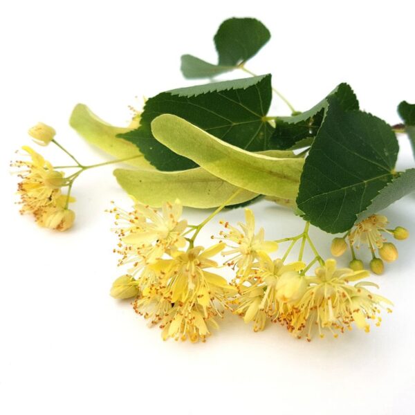 Lipa - Image 2